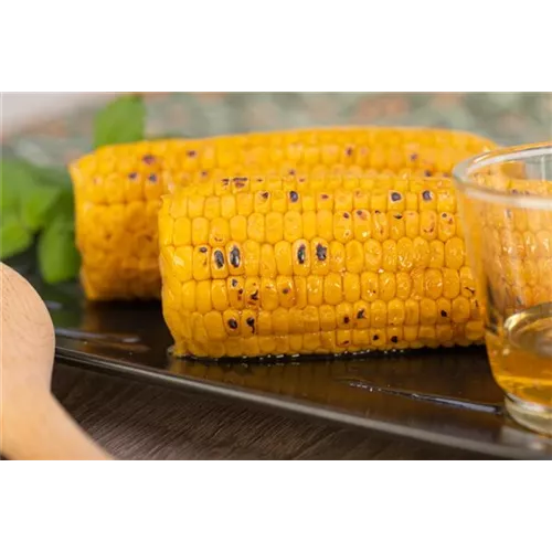 Rezept August 2022: Goldgelber Maiskolben mit Honigglasur