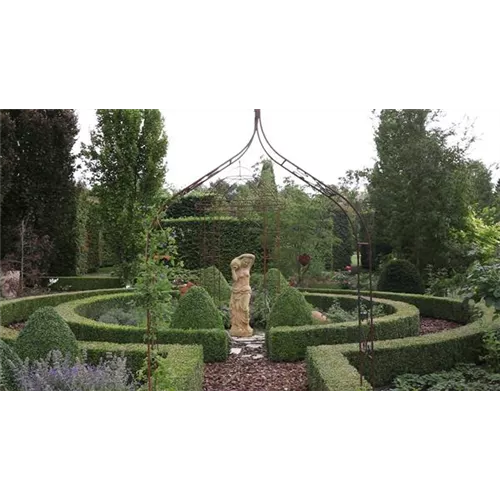 Gartengestaltung - Romantischer Garten