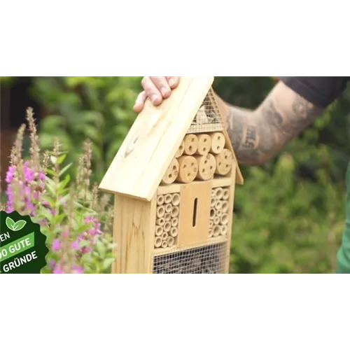 So zauberst du ein Bienenhotel