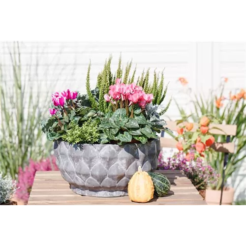 Blumenkübel nicht wegwerfen!
