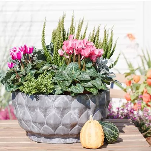 Blumenkübel nicht wegwerfen!