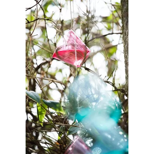 Mit Regenwasser eine Freude machen