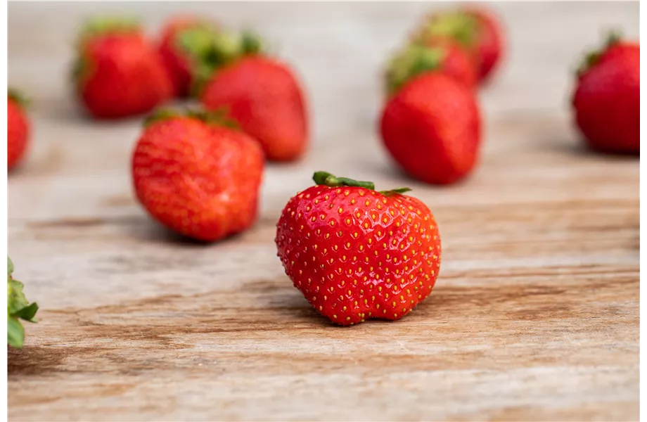 Erdbeeren 