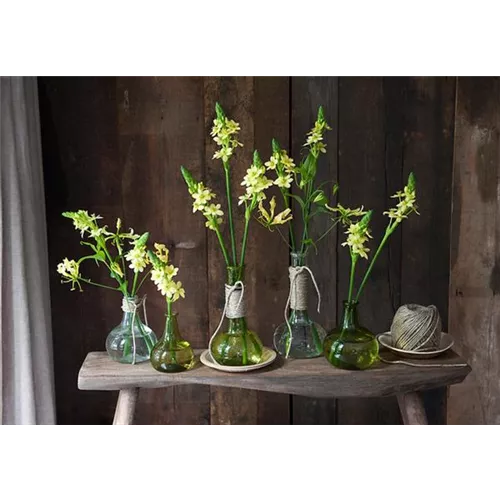 Blumen in der Vase richtig in Szene setzen