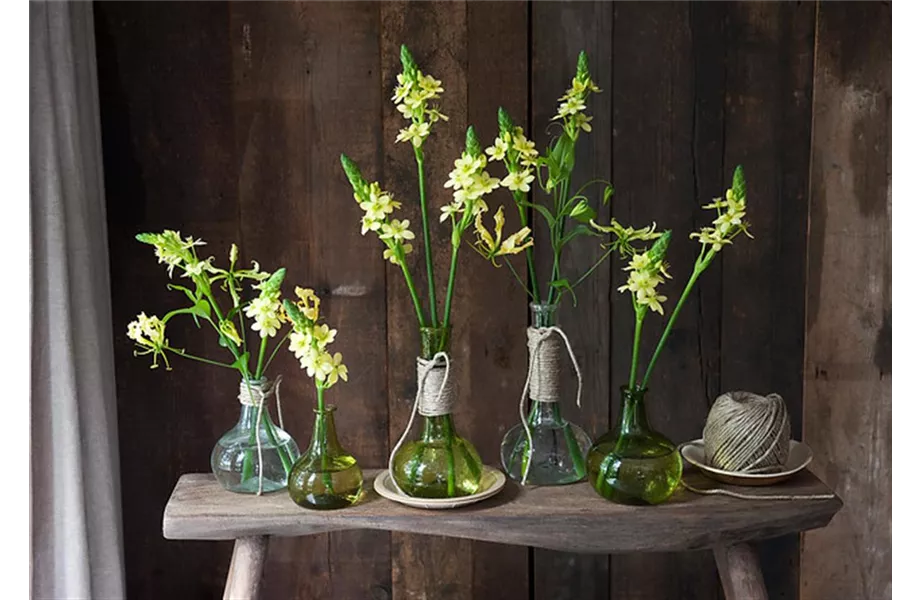 Blumendekoration leicht gemacht