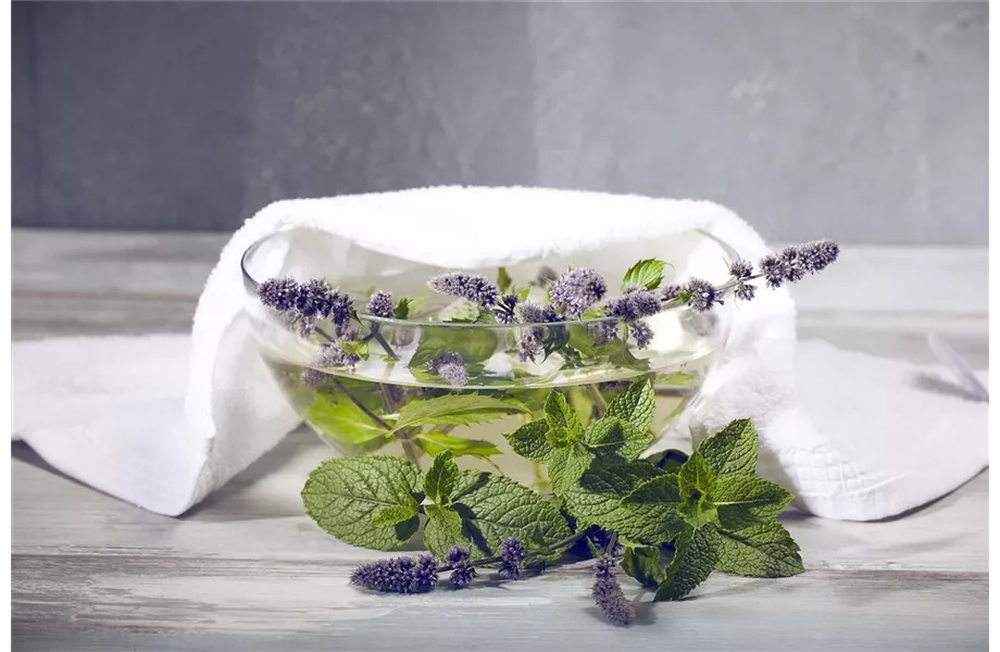 Besondere Kräuter mit Aromen