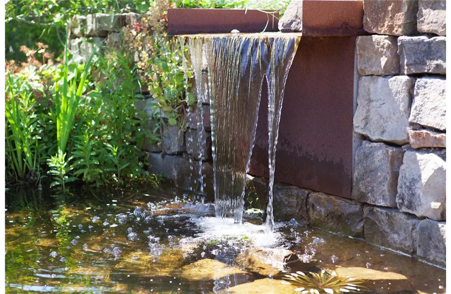 Der Wassergarten 