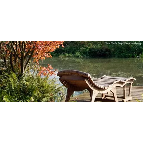 Pflanz den goldenen Herbst!