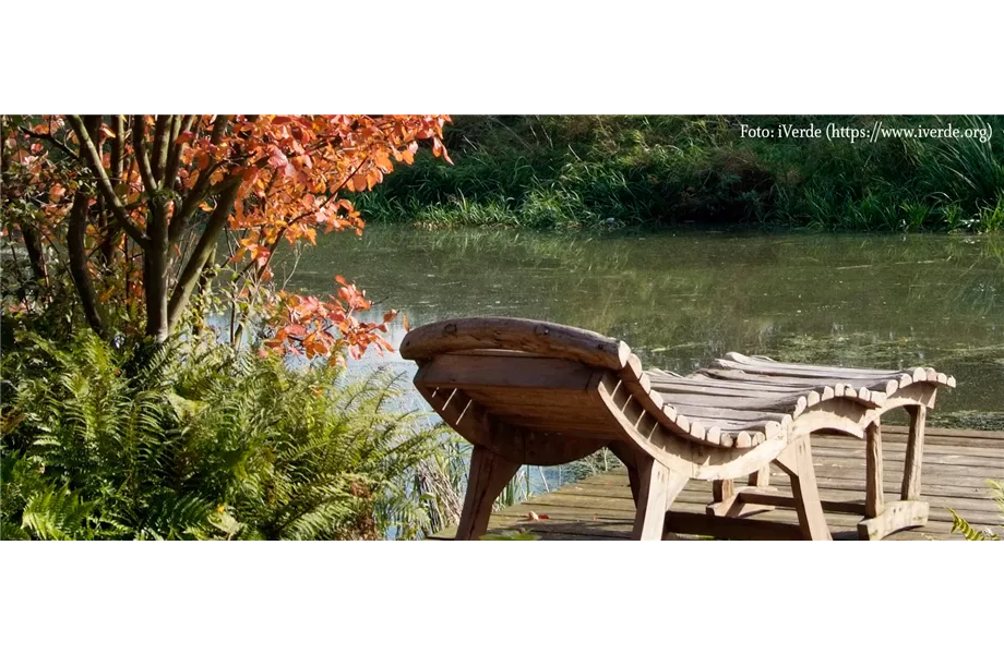 Pflanz den goldenen Herbst!