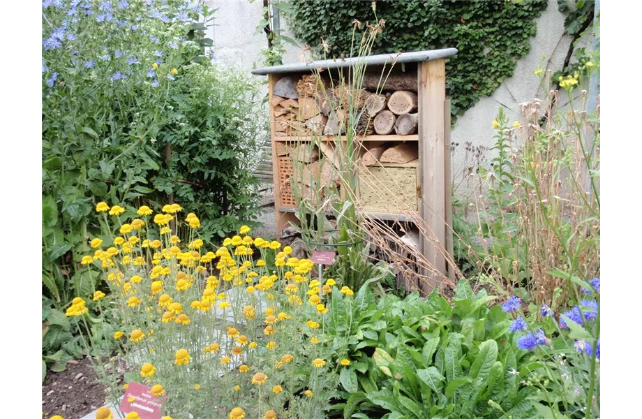 Das geeignete Winterquartier! Das geeignete Winterquartier!