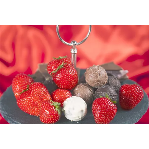 Be my Valentine - Schoko-Pralinen