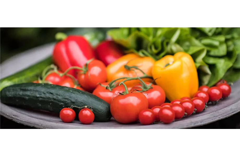 Gartentipps im Juli