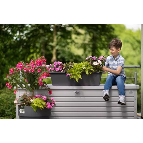 Der Balkonkasten-Guide