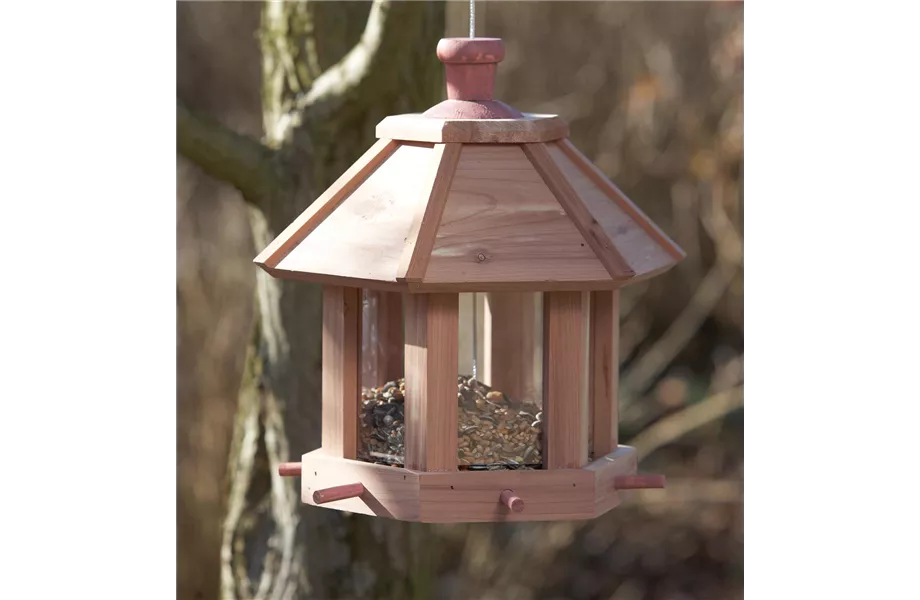 Hausmannskost für Hungerleider Hausmannskost für Hungerleider