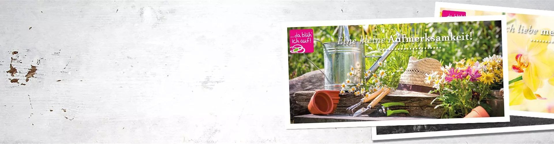Gartenfreude zu verschenken!
