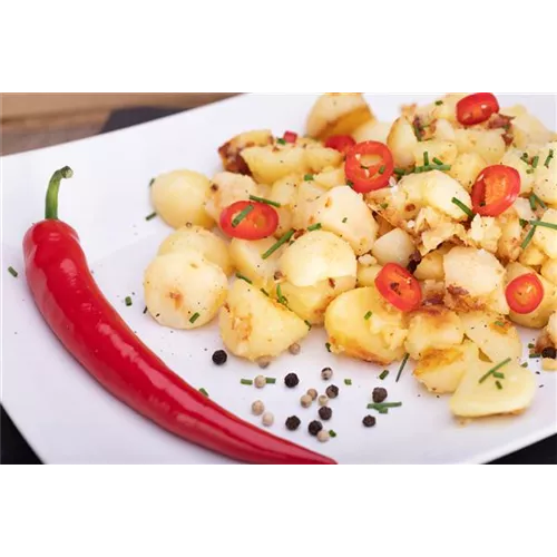 Rezept des Monats Dezember 2025: Chilikartoffeln – die scharfe Beilage