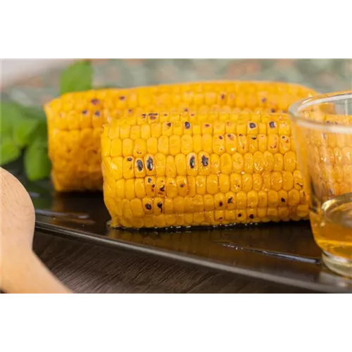 Rezept August 2025: Goldgelber Maiskolben mit Honigglasur