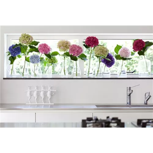 Blumendekoration leicht gemacht